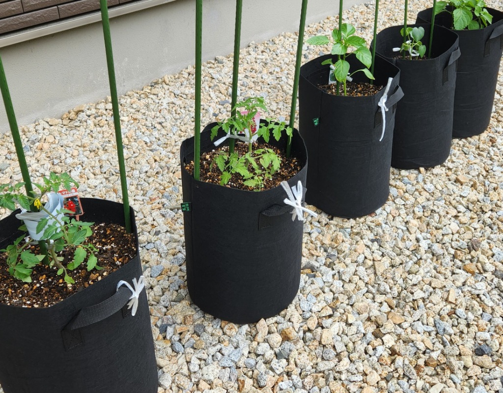 4件目のレビュー画像 | 0