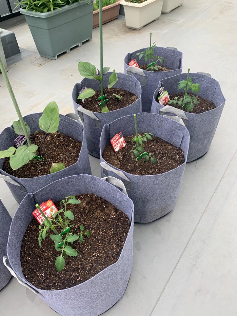 全体のレビュー画像 | 4-0