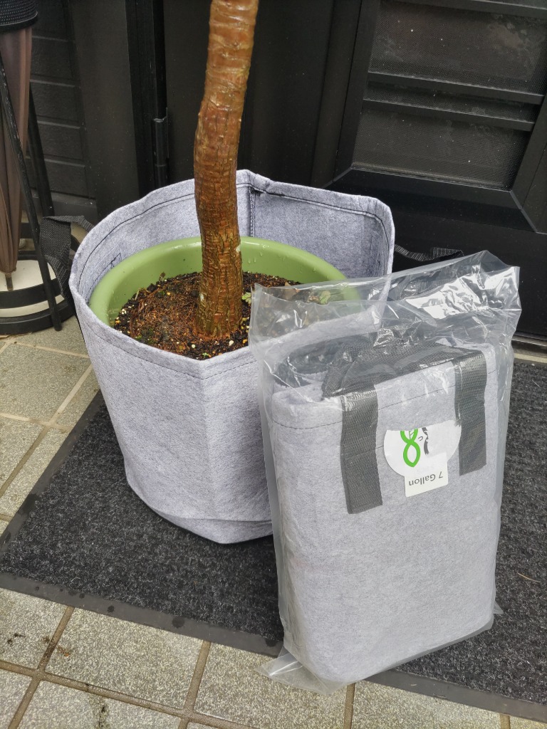 全体のレビュー画像 | 0-0