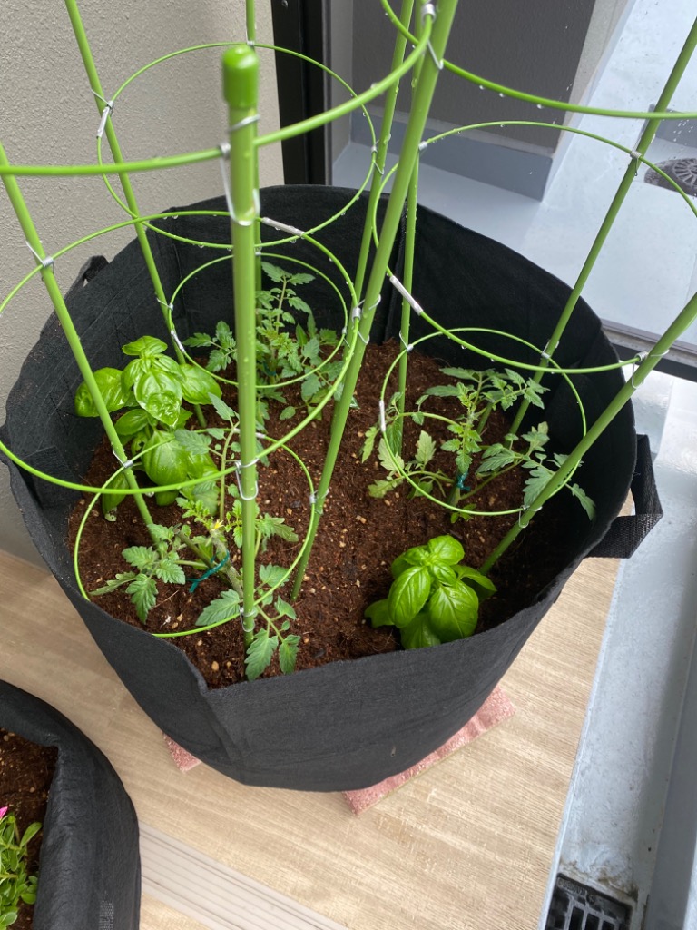 全体のレビュー画像 | 1-1