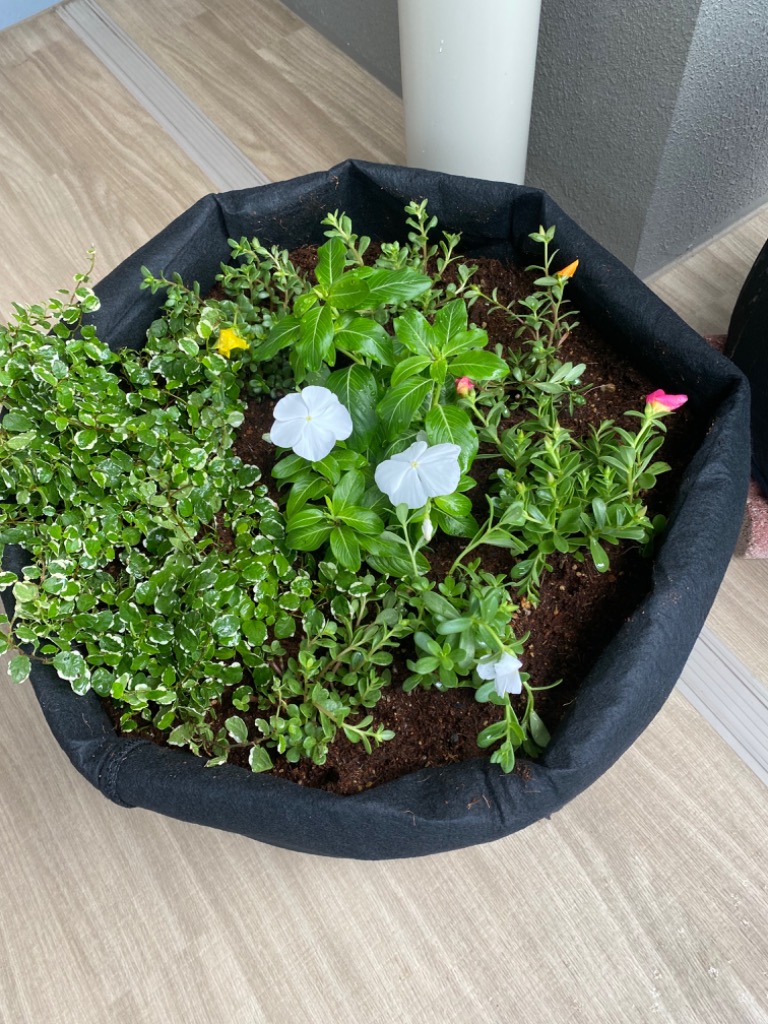 全体のレビュー画像 | 1-0