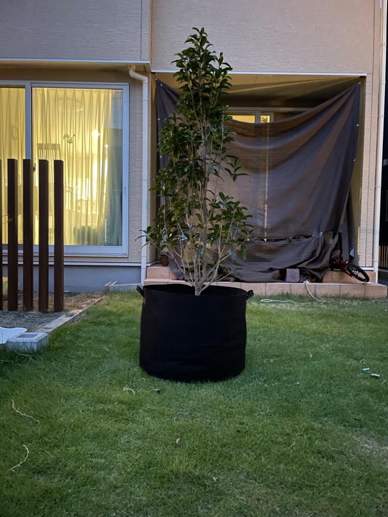 全体のレビュー画像 | 1-0