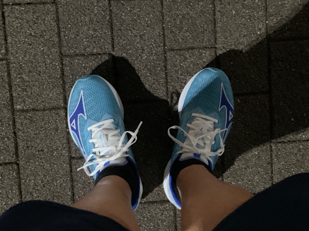 MIZUNO ミズノ ランニングシューズ ウエーブリベリオン