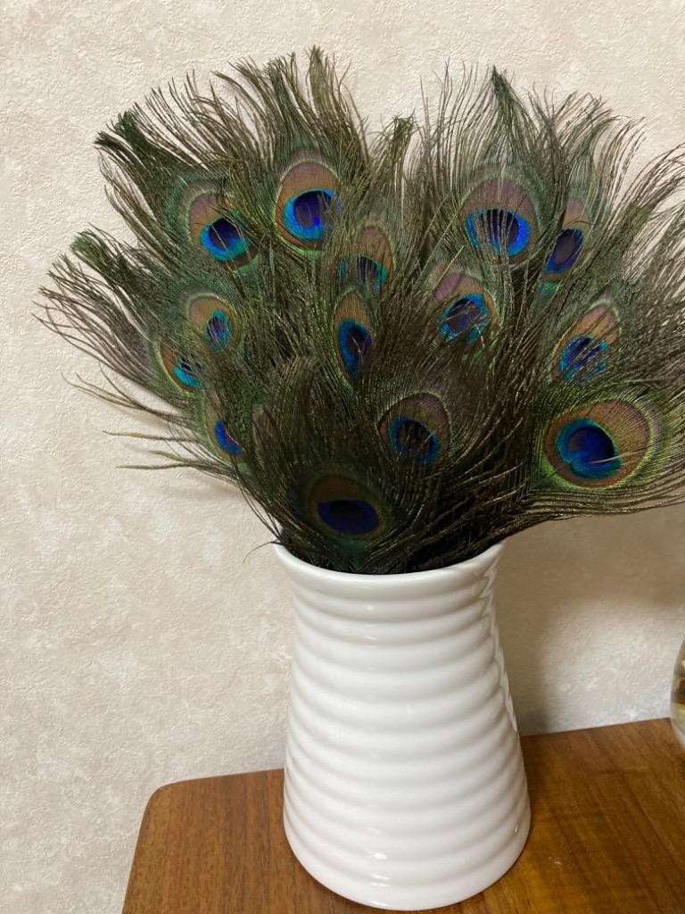 孔雀の羽 羽根 目玉羽 綺麗 装飾用の羽根 23-33cm 10本入り アクセサリー 手芸材料 パーツ 帽子の飾りやインテリアにも  :15004547:STKショップ 通販 