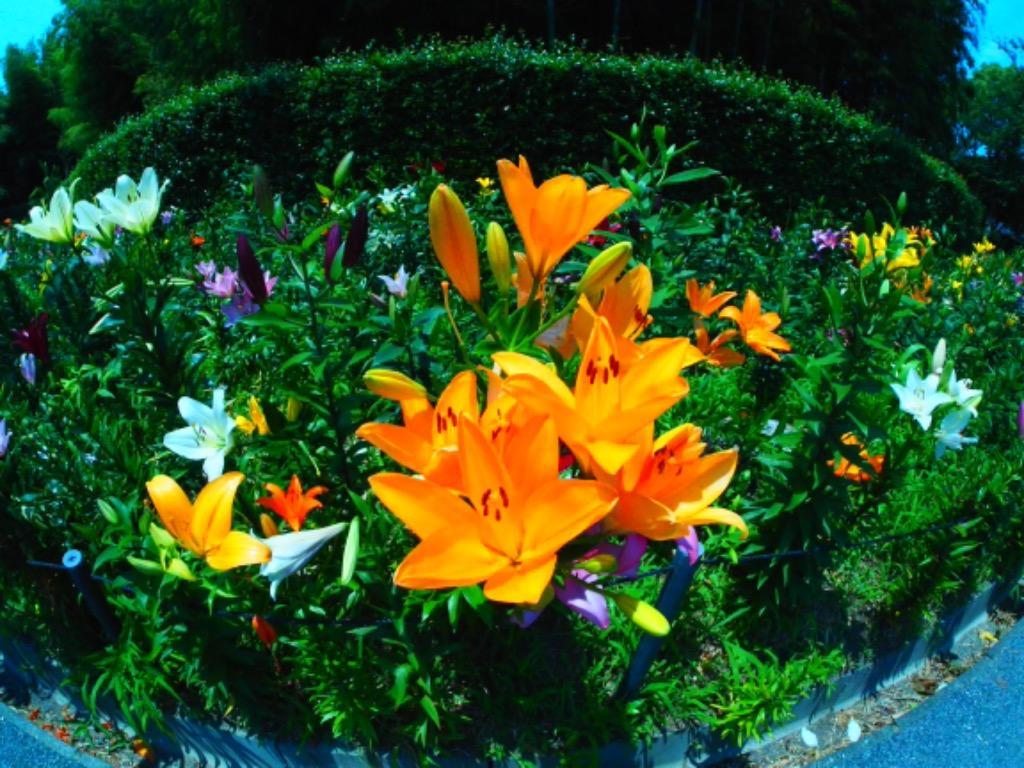 3件目のレビュー画像 | 0