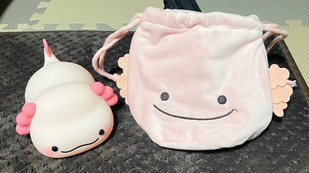 Amazon.co.jp: ストリームマーケット 巾着袋 巾着 袋 マルチ