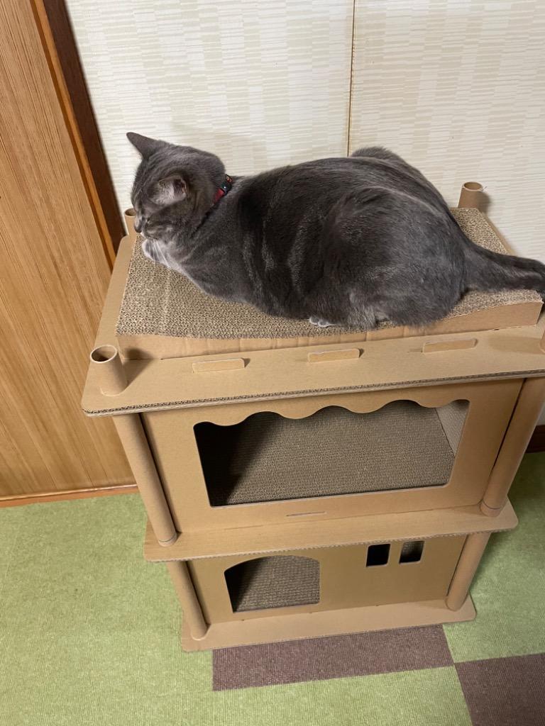 Petique ペティーク コンドミニアム キャットハウス キャット