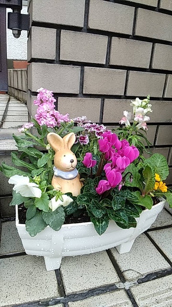 花苗 夏 セット 12ポット＋寄せ植えセット おしゃれな寄せ植えが簡単に