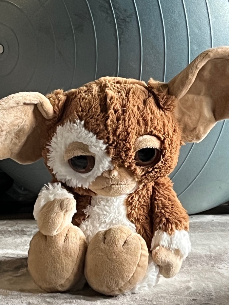 nici（ニキ） ぬいぐるみ ギズモ 35cm BR ブラウン GREMLINS
