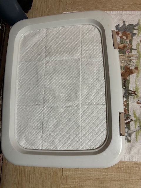 1件目のレビュー画像 | 0