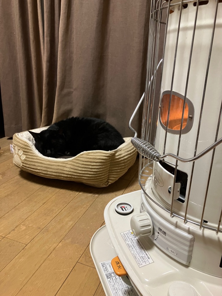 8件目のレビュー画像 | 0