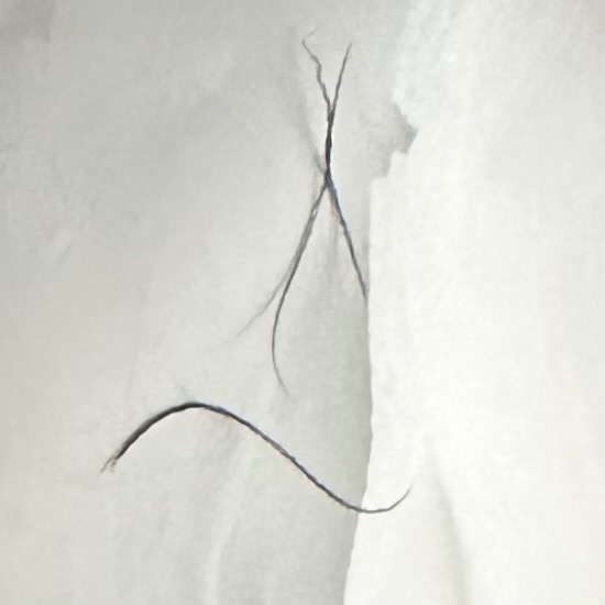 全体のレビュー画像 | 4-2
