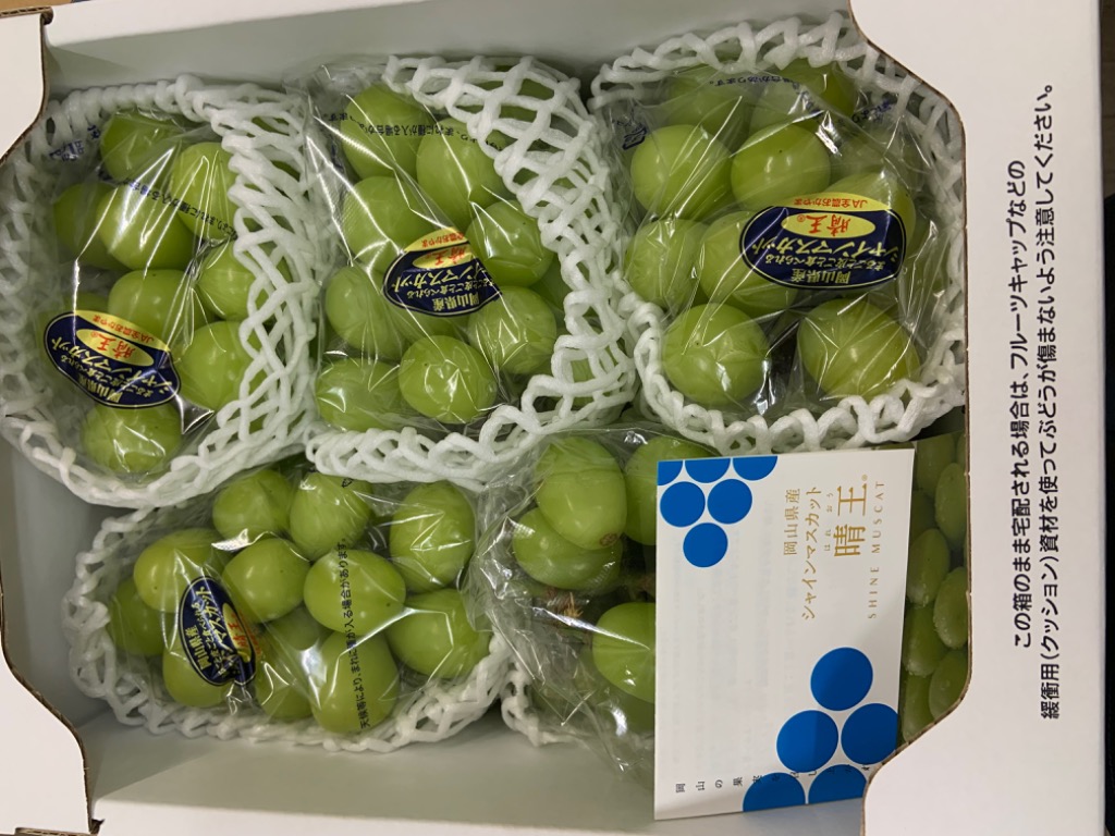 岡山県産　シャインマスカット　晴王　赤秀品　3〜5房 約2.0kg 2025 ギフト 岡山県産 シャインマスカット 晴王 赤秀品 2kg (3
