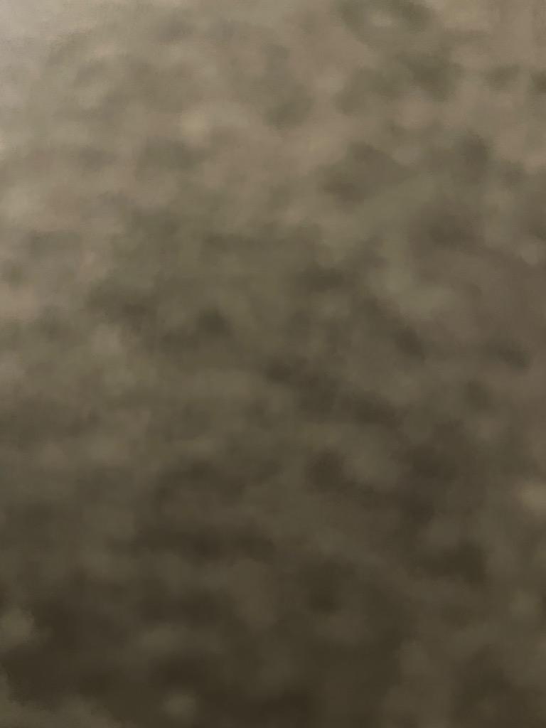 全体のレビュー画像 | 1-0