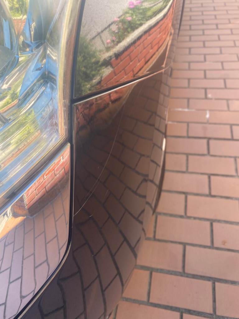 全体のレビュー画像 | 4-2