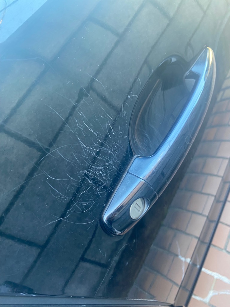 全体のレビュー画像 | 4-1