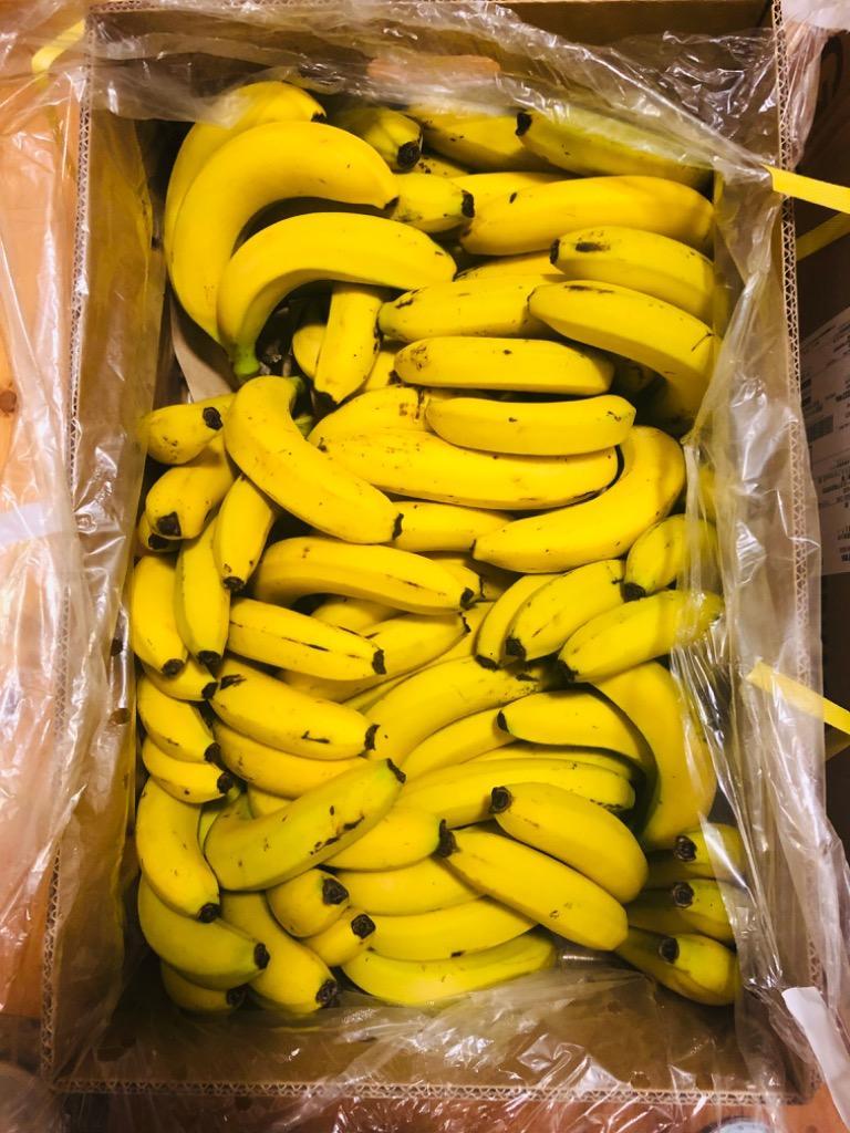 バナナ 業務用 訳あり 甘熟王 約15kg 約85本 フィリピン産 スミフル :BHLCL13:バナナのスミフルYahoo!店 - 通販 -  Yahoo!ショッピング
