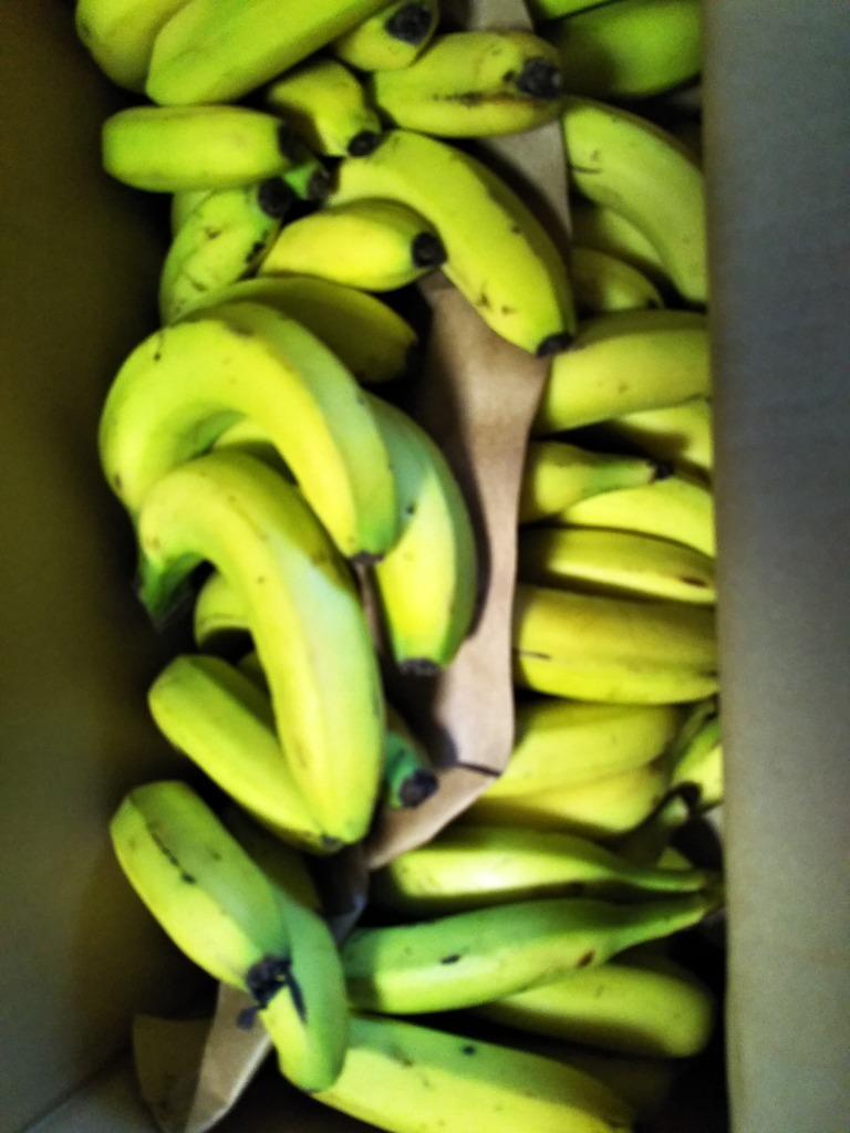 バナナ 業務用 訳あり 甘熟王 7kg フィリピン産 スミフル Bhlcl7 バナナのスミフルyahoo 店 通販 Yahoo ショッピング
