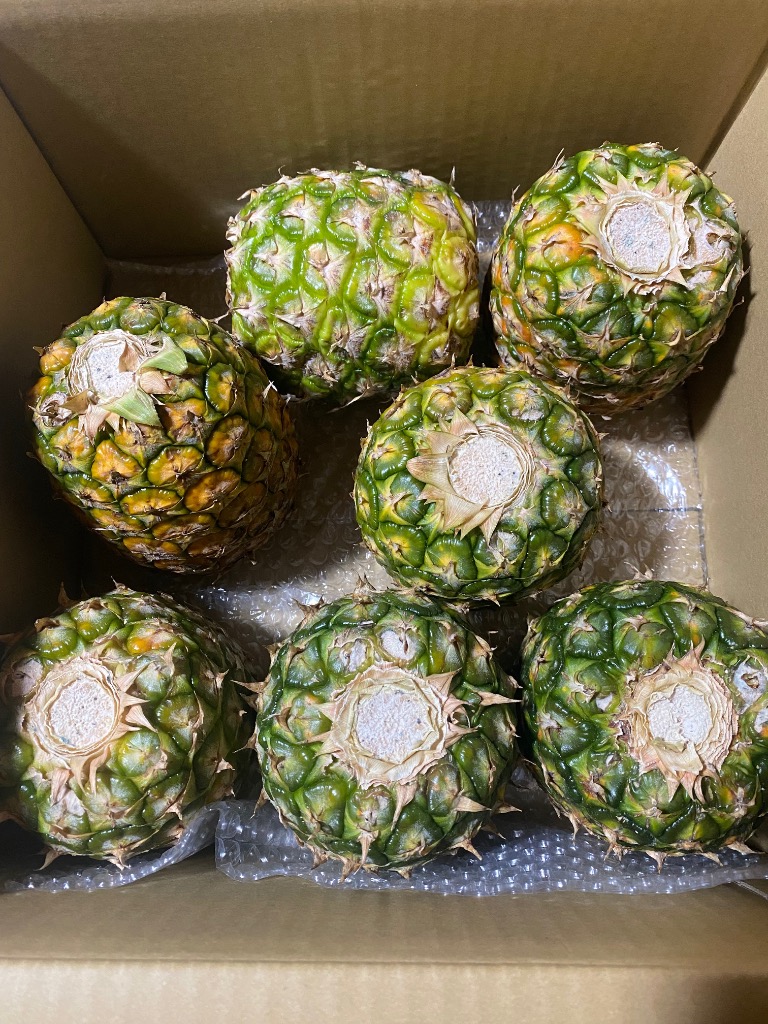 全体のレビュー画像 | 2-0