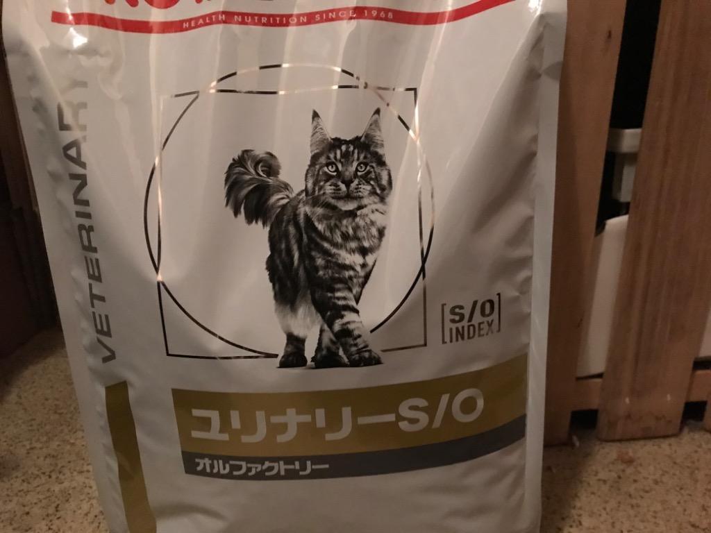 ロイヤルカナン 猫用ユリナリーS／Oオルファクトリー 4kg 