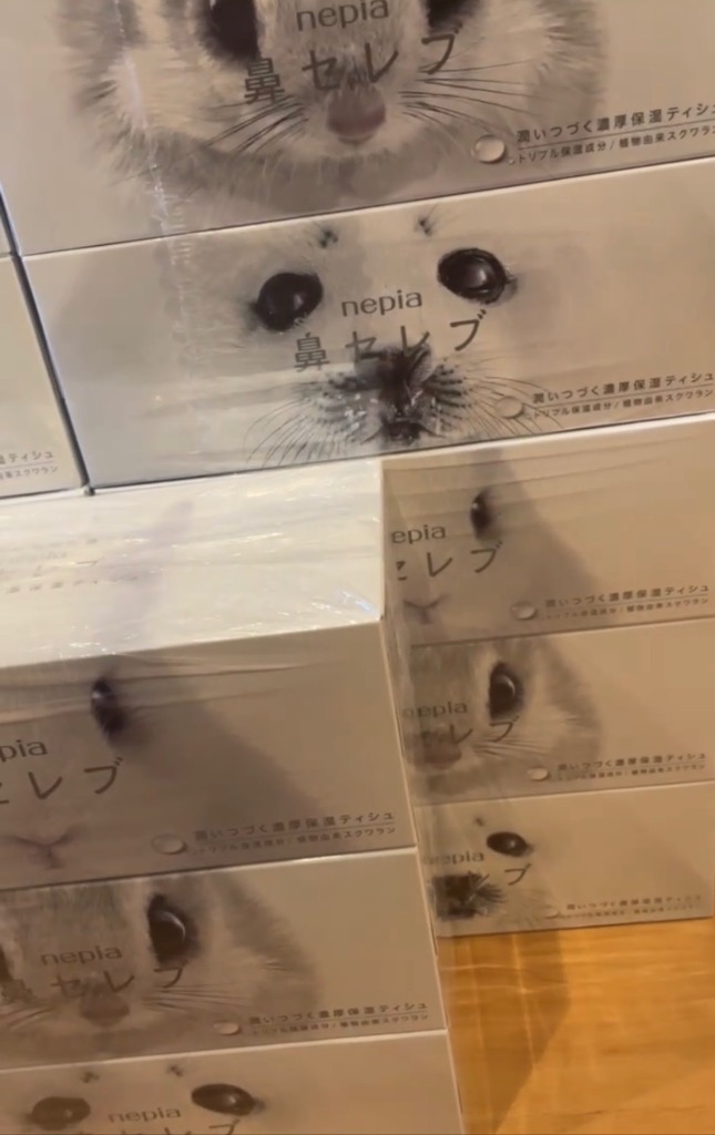 ⭐️ ハナセレブです 鼻セレブ ハナセレブティシュ3P : サンドラッグe-shop - 通販