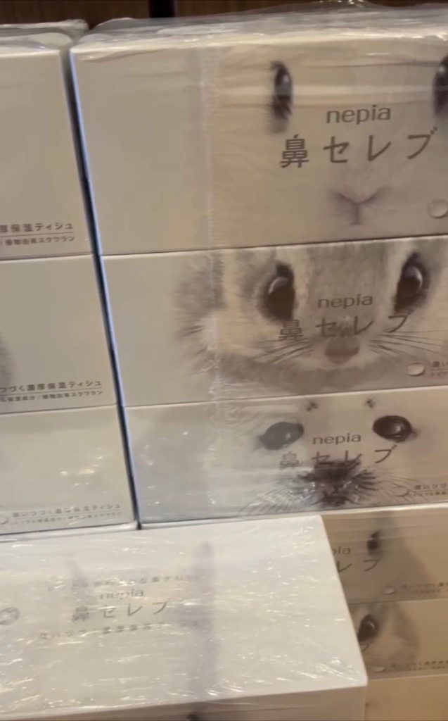 ⭐️ ハナセレブです kenjoy_4901121636078