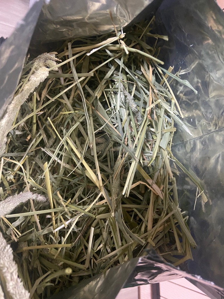 ミニマルランド バニーグレードチモシー 550g : サンドラッグe
