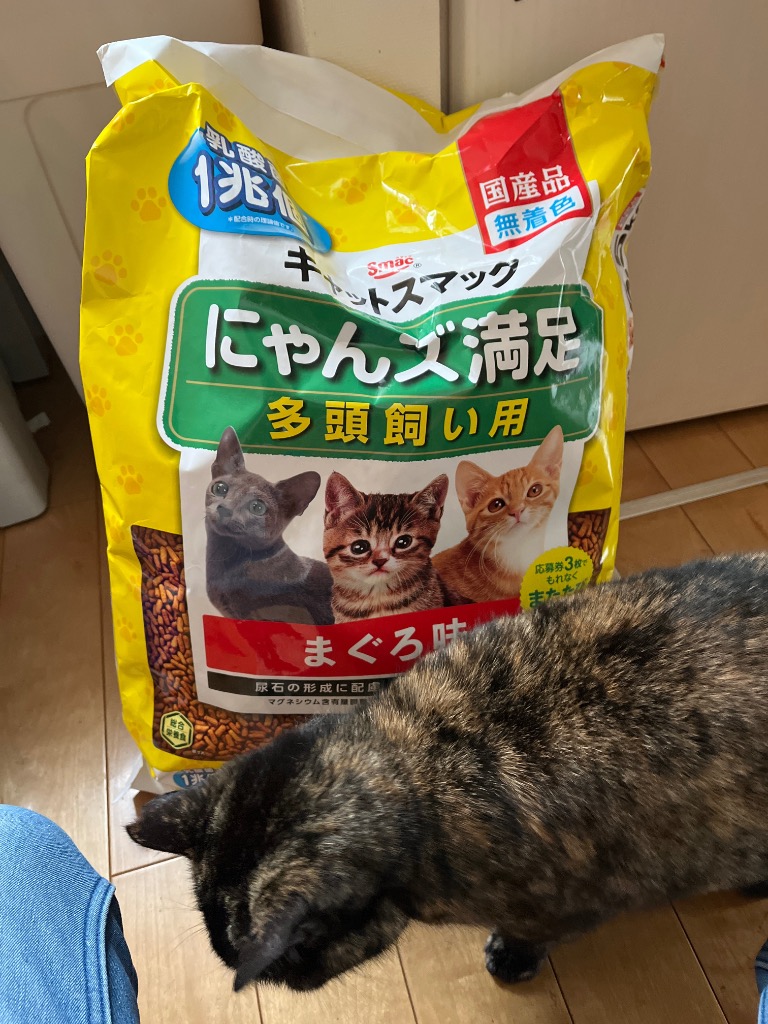 にゃんズ満足まぐろ味 6.5kg : サンドラッグe-shop - 通販 にゃんズ満足まぐろ味 6.5kg : サンドラッグe-shop - 通販