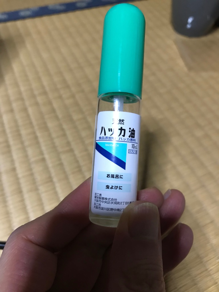 健栄製薬 ハッカ油Pスプレー10ml :4987286415659:サンドラッグe-shop - 通販 - Yahoo!ショッピング