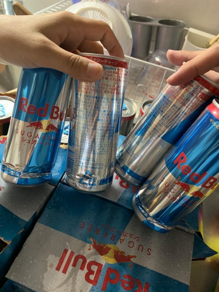 レッドブル シュガーフリー エナジードリンク 250ml缶 2ケース 48本入 REDBULL SUGAR FREE :dk1048:SUNNET -  通販 - Yahoo!ショッピング