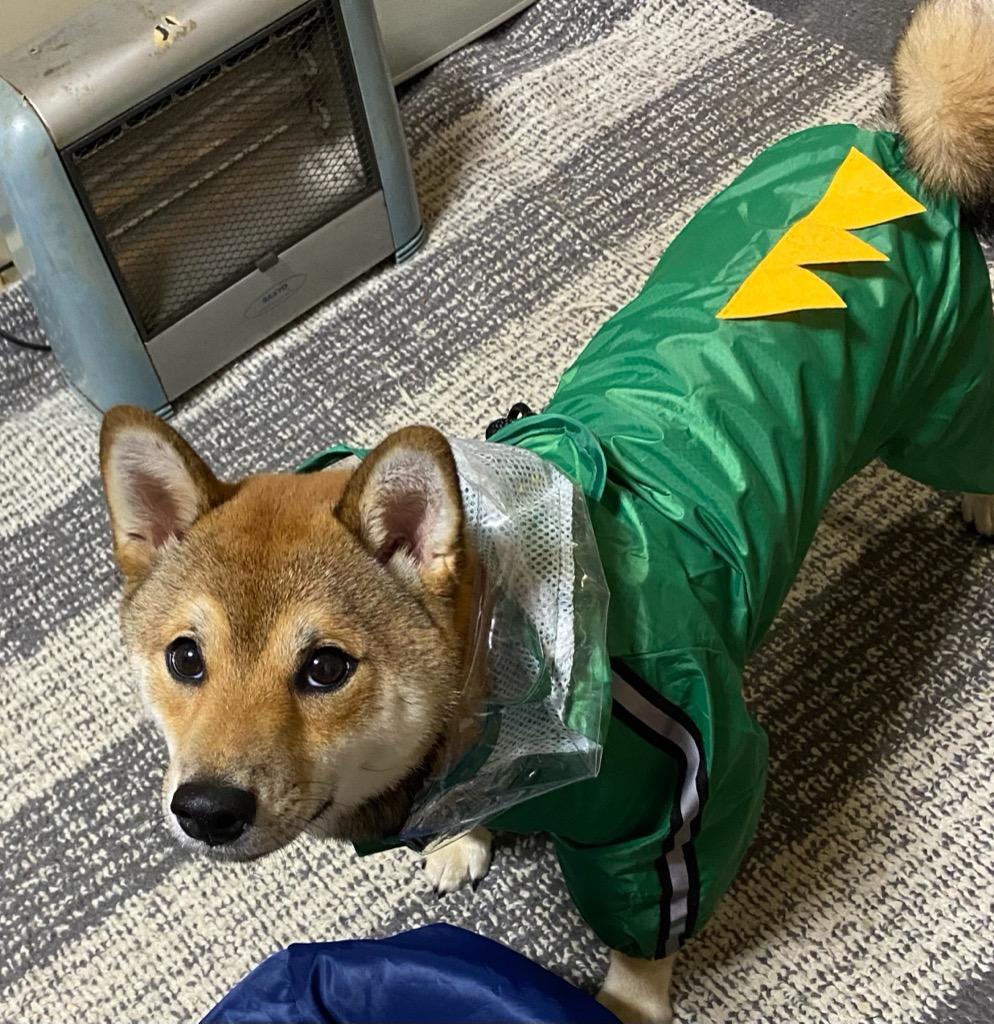 レビュー画像