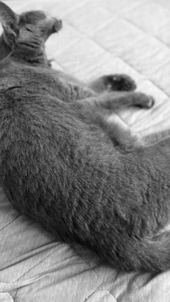 1件目のレビュー画像 | 0