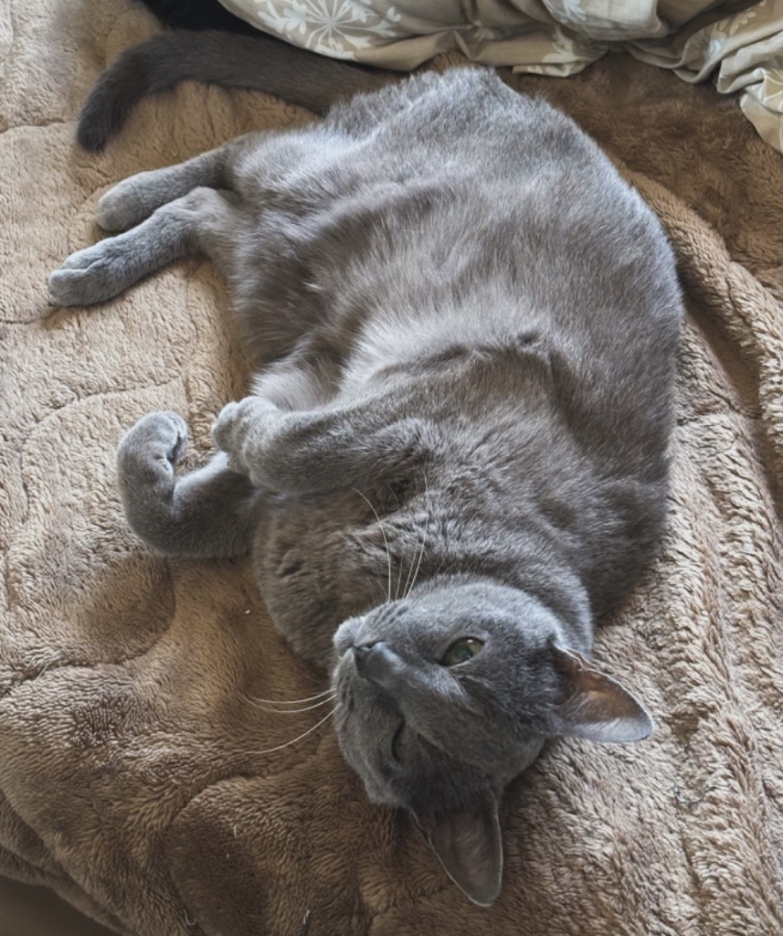 1件目のレビュー画像 | 1