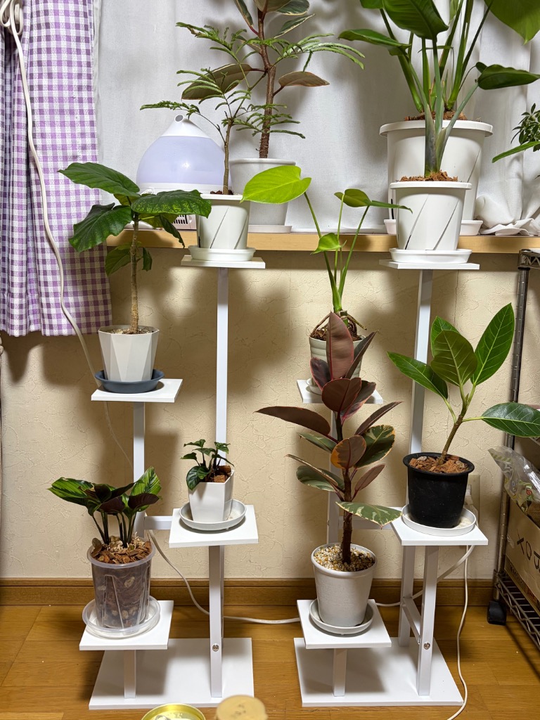 花台 コーナー 3/4段式 竹製フラワースタンド 室内/ベランダ/玄関