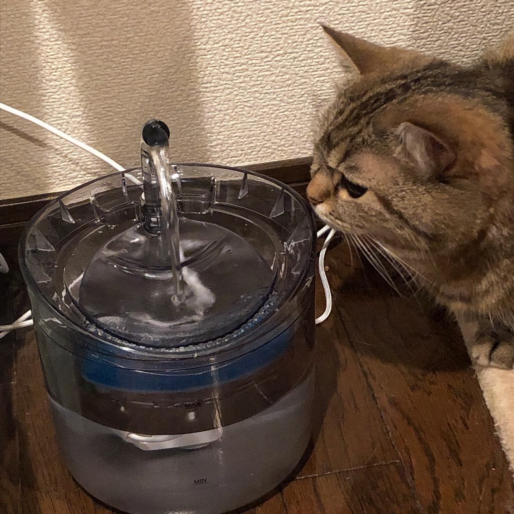 ペット給水器 犬 猫 フィルタ 自動 水飲み器 循環浄水給水器 超静音 活性炭フィルター付き 大容量 自動給水器 ペット 循環式 透明 おすすめ 送料無料 Petawd01 Sunrise Market 通販 Yahoo ショッピング