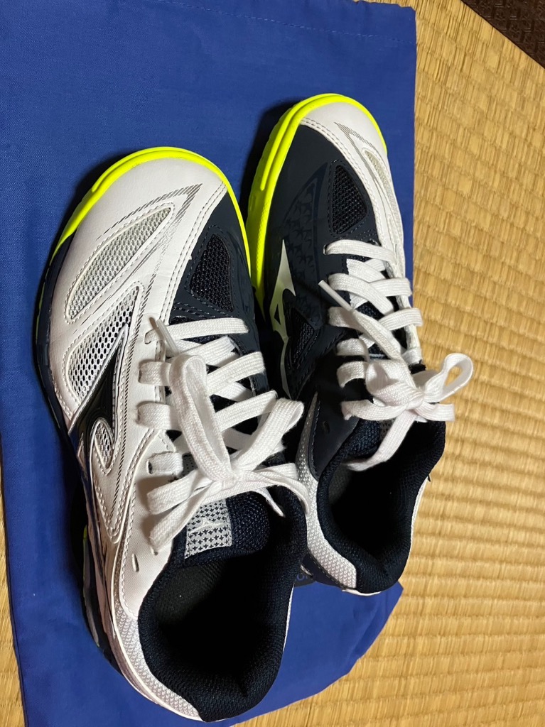MIZUNO ミズノ（MIZUNO）（メンズ、レディース）卓球シューズ