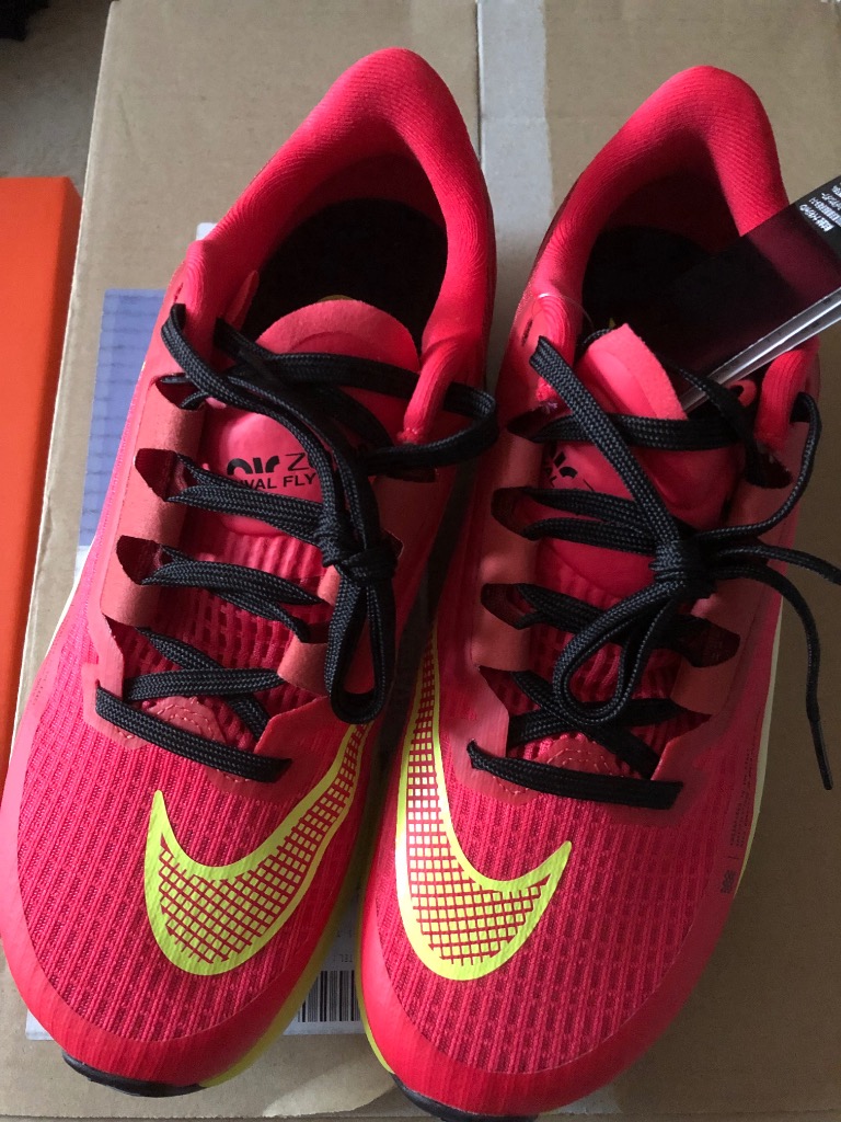 NIKE ナイキ（NIKE）（メンズ、レディース）ランニングシューズ