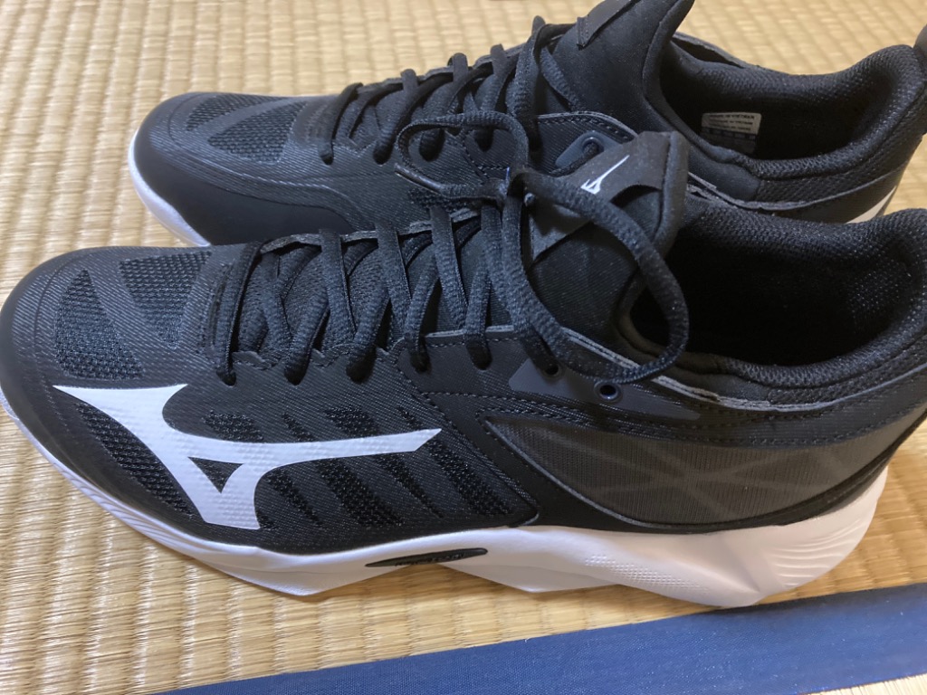 MIZUNO ミズノ（MIZUNO）（メンズ、レディース）バレーボール