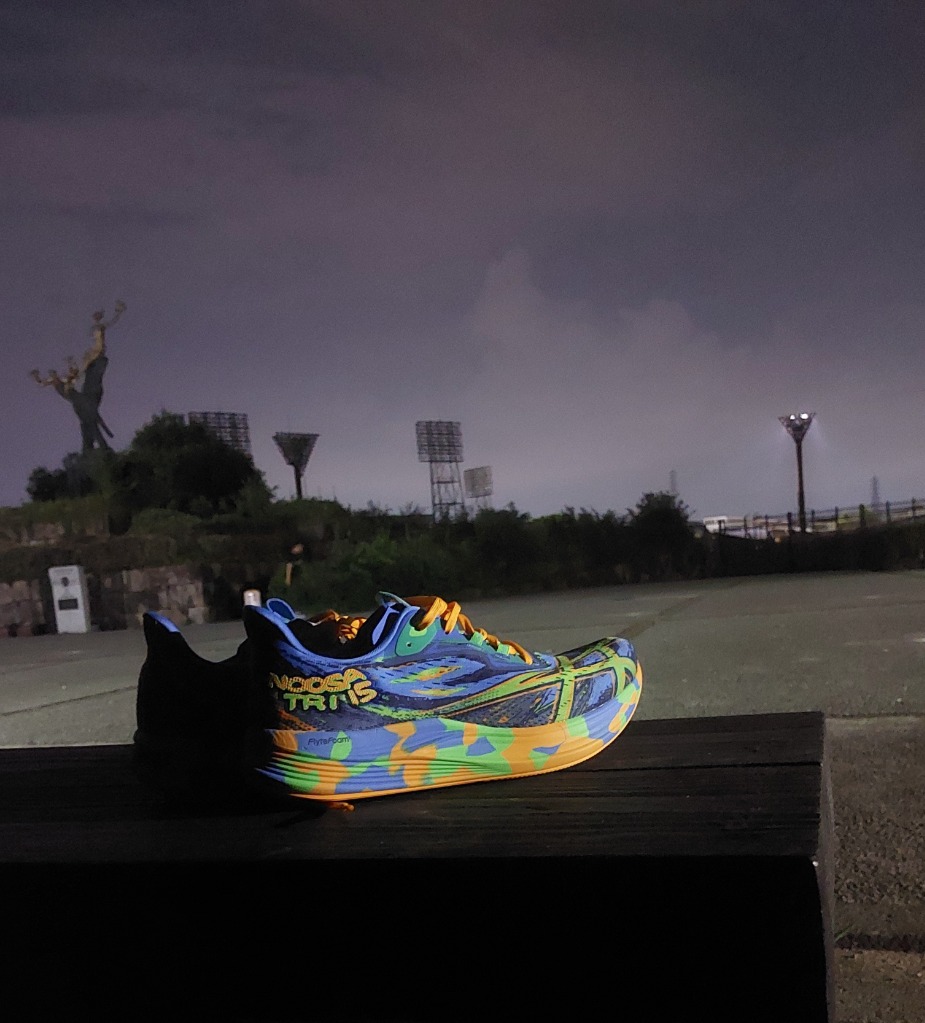 ASICS アシックス（ASICS）（メンズ）ランニングシューズ