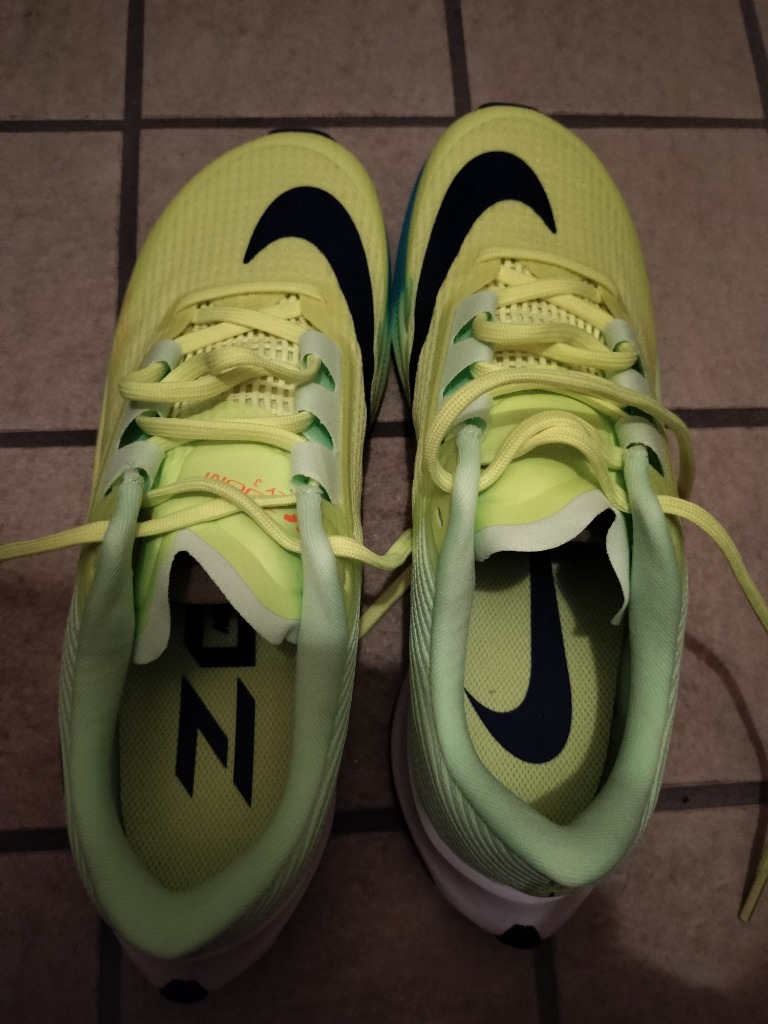 NIKE ナイキ（NIKE）（メンズ、レディース）ランニングシューズ