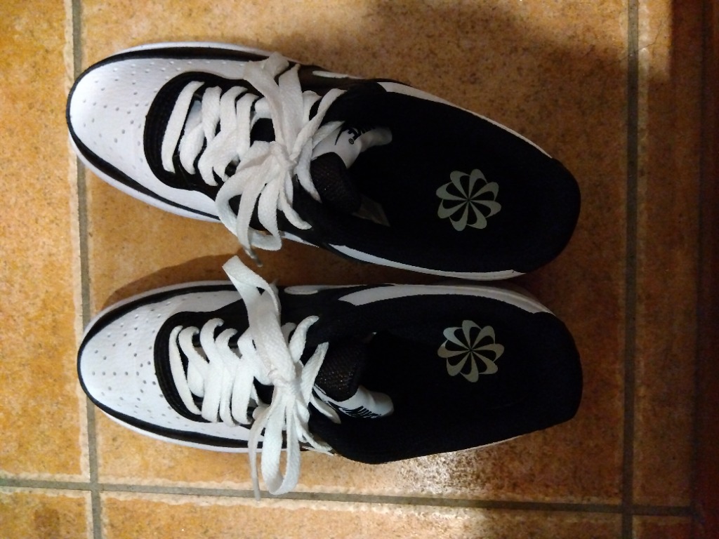 NIKE ナイキ（NIKE）（レディース）スニーカー スポーツシューズ