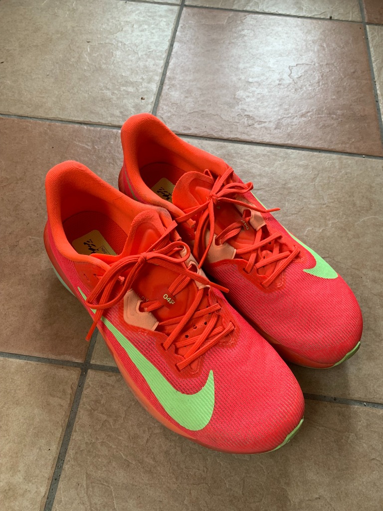 NIKE ナイキ（NIKE）（メンズ）ランニングシューズ トレーニング