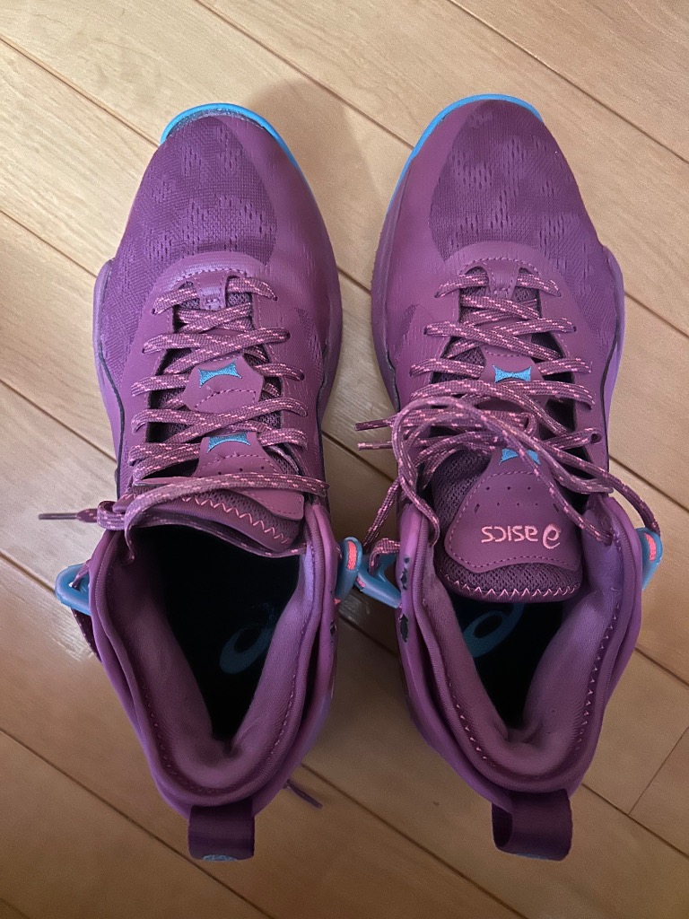 ASICS NOVA SURGE 2 バスケットボールシューズ NOVA SURGE 2 ASICS バスケットボールシューズ ホワイト