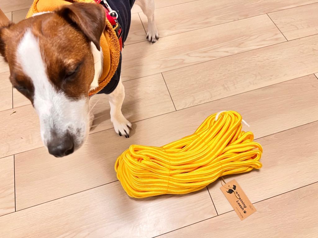 ロングリード 10m まとめやすい 丸ロープ カラフル 丈夫 外れにくい ナスカン 絡まない 大型犬 中型犬