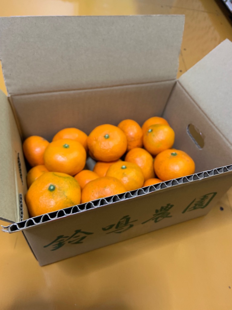 和歌山県下津町　麗江みかん　訳あり　20kg（10kg✖️2ケース） 8c9506acaa06c163fe7147b32c0ddc