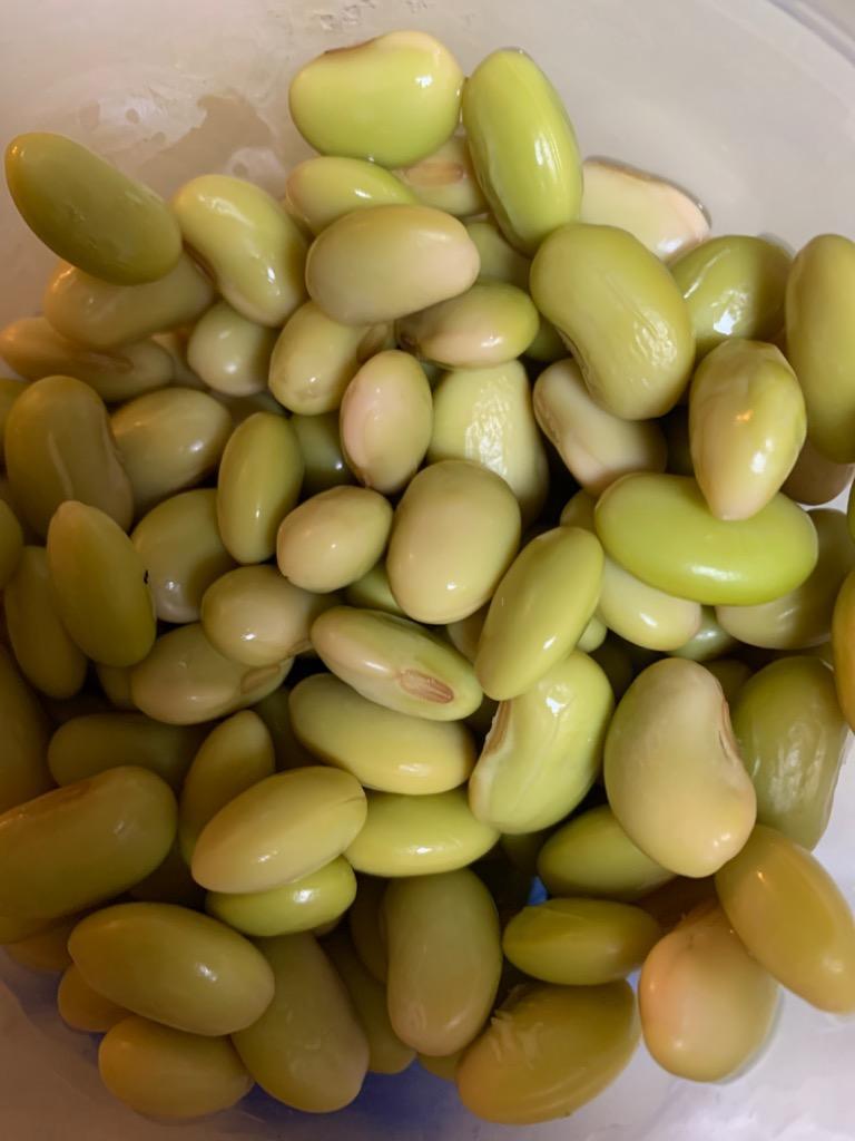 秘伝豆 1kg 2024年産 令和6年産 山形県産 青大豆 チャック有り