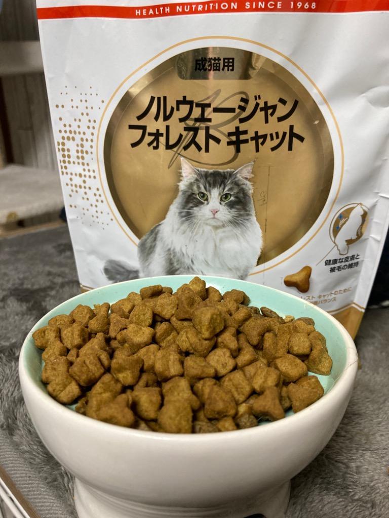 ロイヤルカナン ノルウェージャンフォレストキャット 2kg (猫・キャット) [正規品] キャットフード ドライ  :108926976:スイートペットプラス - 通販 - Yahoo!ショッピング