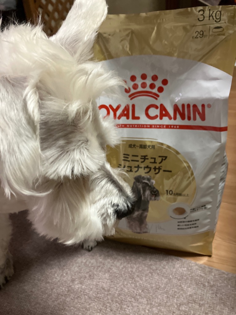 ロイヤルカナン ミニチュアシュナウザー 成犬・高齢犬用 3kg (犬・ドッグ) [正規品] ドッグフード シニア 犬 ドライフード :  77450164 : スイートペットYahoo!店 - 通販 - Yahoo!ショッピング