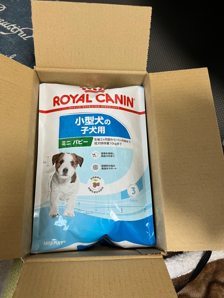 超特価ロイヤルカナン中小型犬ミニパピーお得用15kg ロイヤルカナン エクストラスモールパピー（超小型犬）3kg 【10