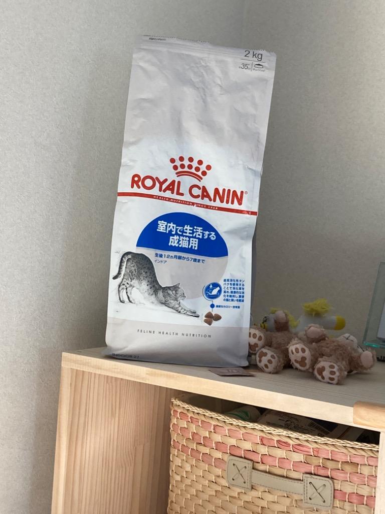 ロイヤルカナン インドア 猫用 4kg (猫・キャット) [正規品